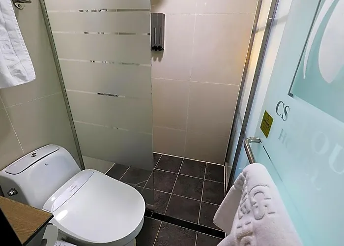 Cs Avenue Tourist 2* Сеул